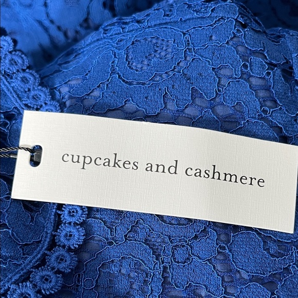 cupcakes & cashmere Blue Lace Dress - Picture 8 of 11